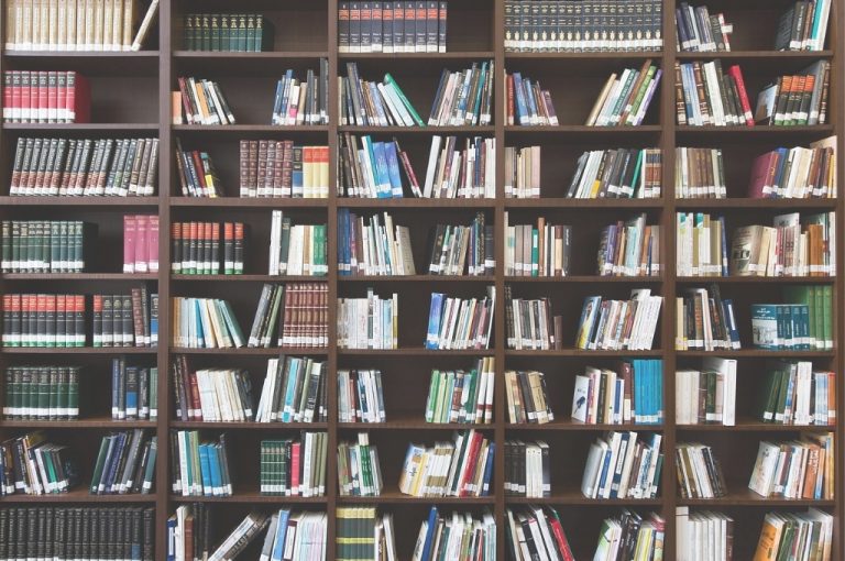 Großes Bücherregal mit vielen Büchern