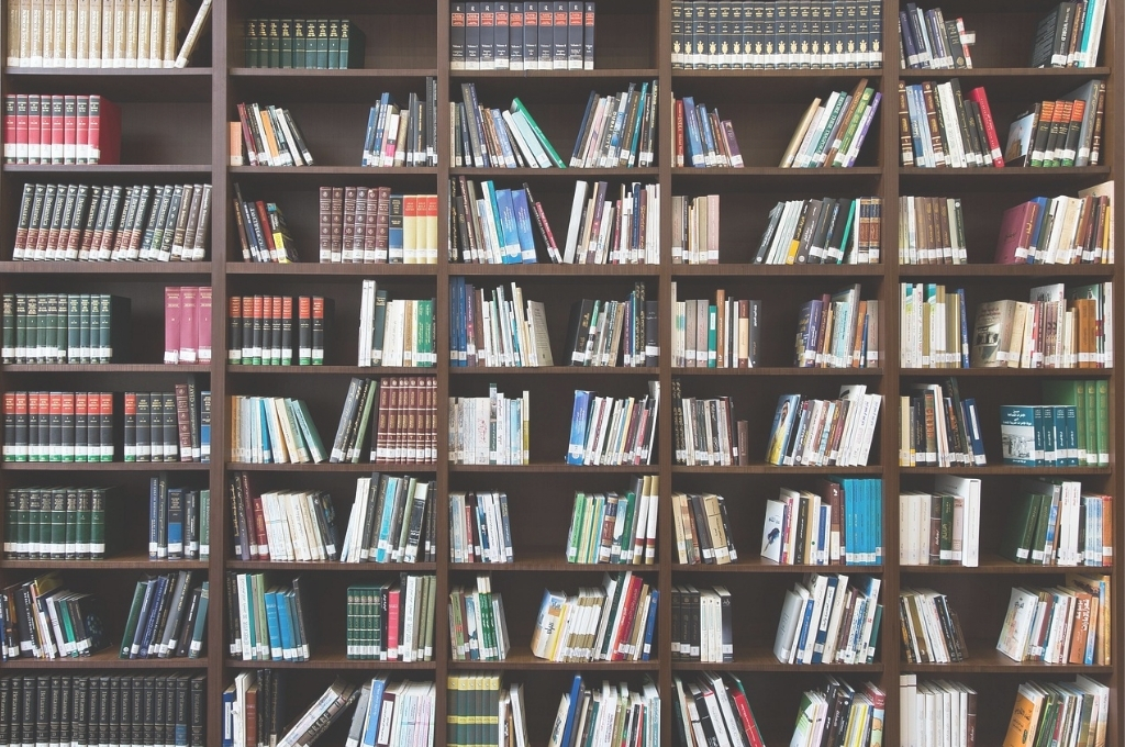 Großes Bücherregal mit vielen Büchern