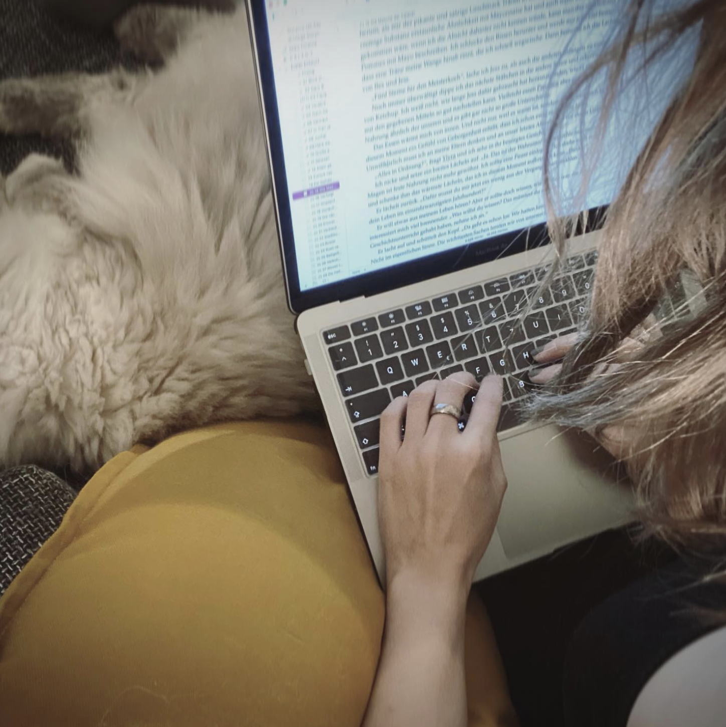 Schreiben am Laptop mit Katze